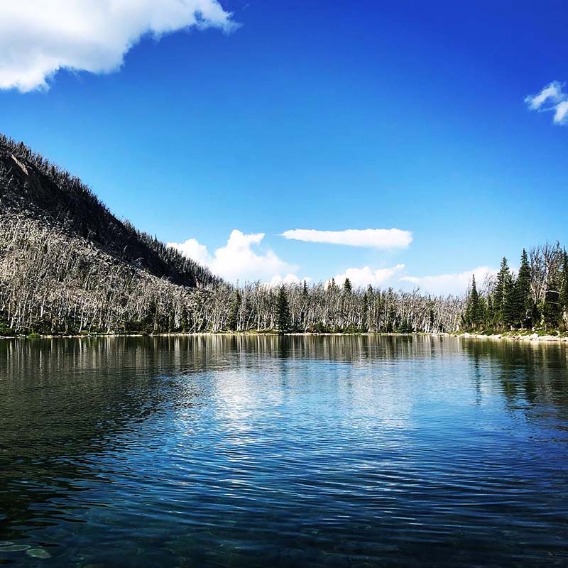 Big Belt Photo Gallery Montana Expeditions 6