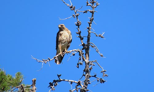 Self Guided Expedition